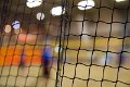 Honig_200516_178