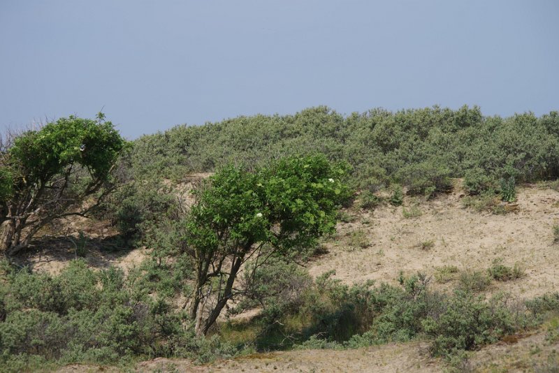 MJV_1341.JPG