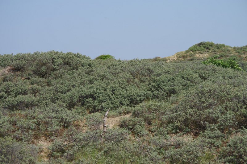 MJV_1343.JPG