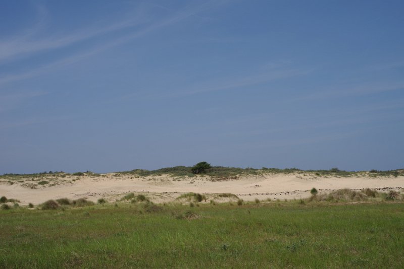 MJV_1368.JPG