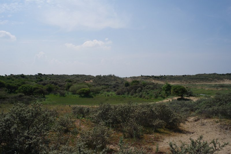 MJV_1370.JPG