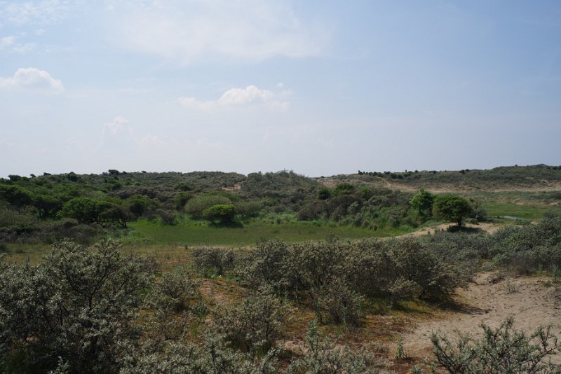 MJV_1371.JPG
