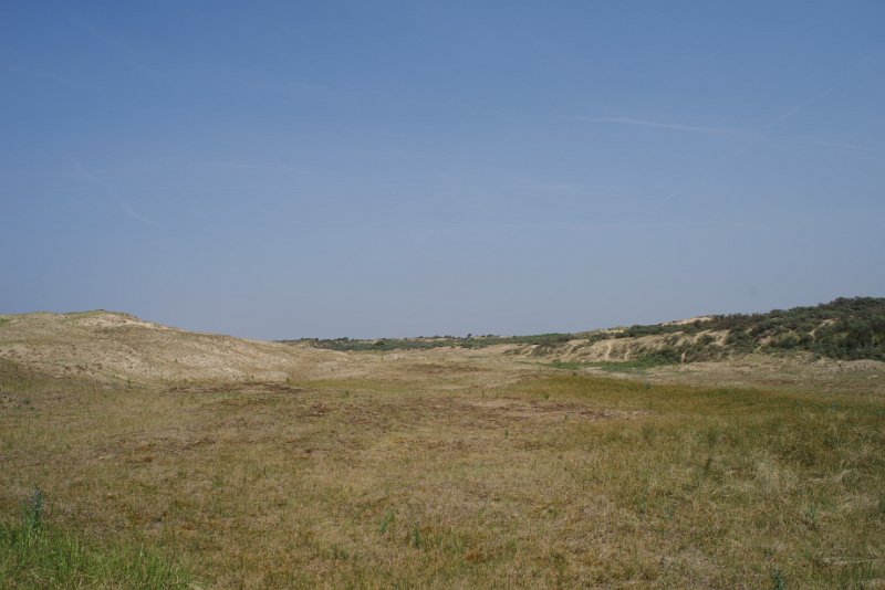 MJV_1374.JPG