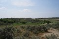 MJV_1371