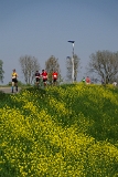 MJV_5681