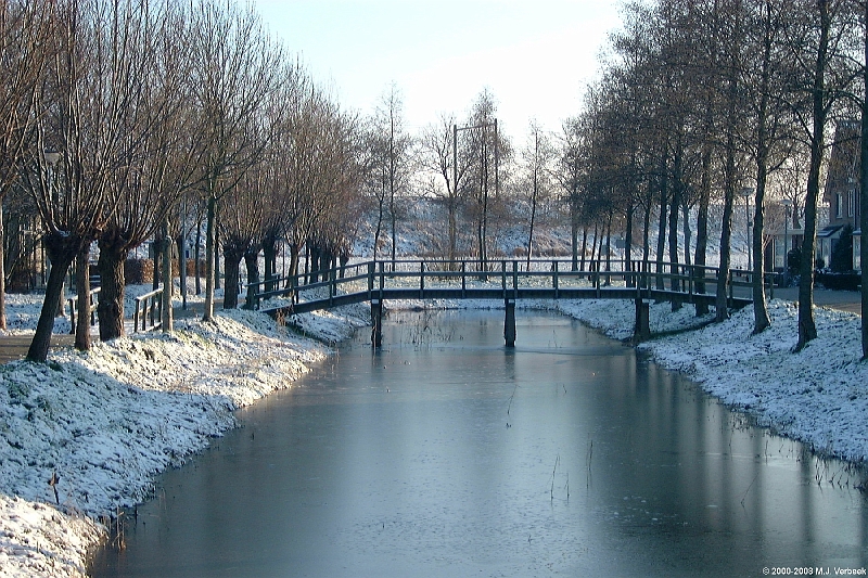Luthulisingel_01.JPG