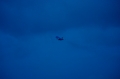 __MJV9582